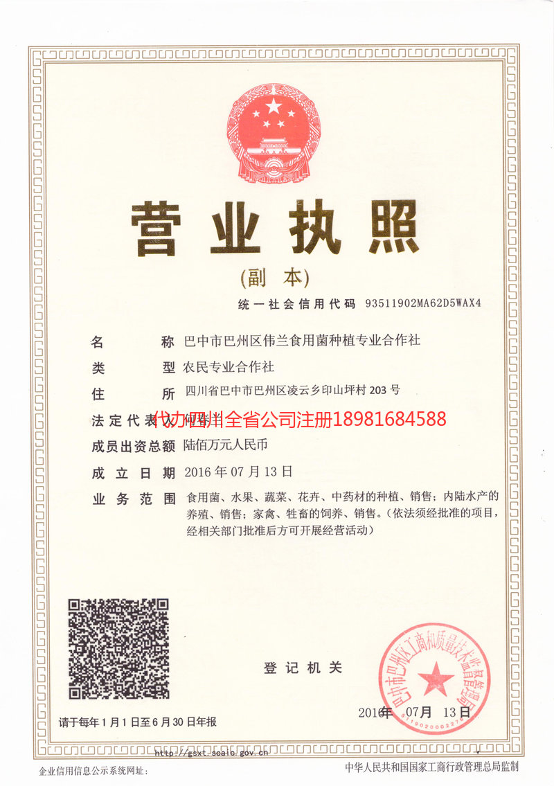 樟树樟树伟兰食用菌种植专业合作社